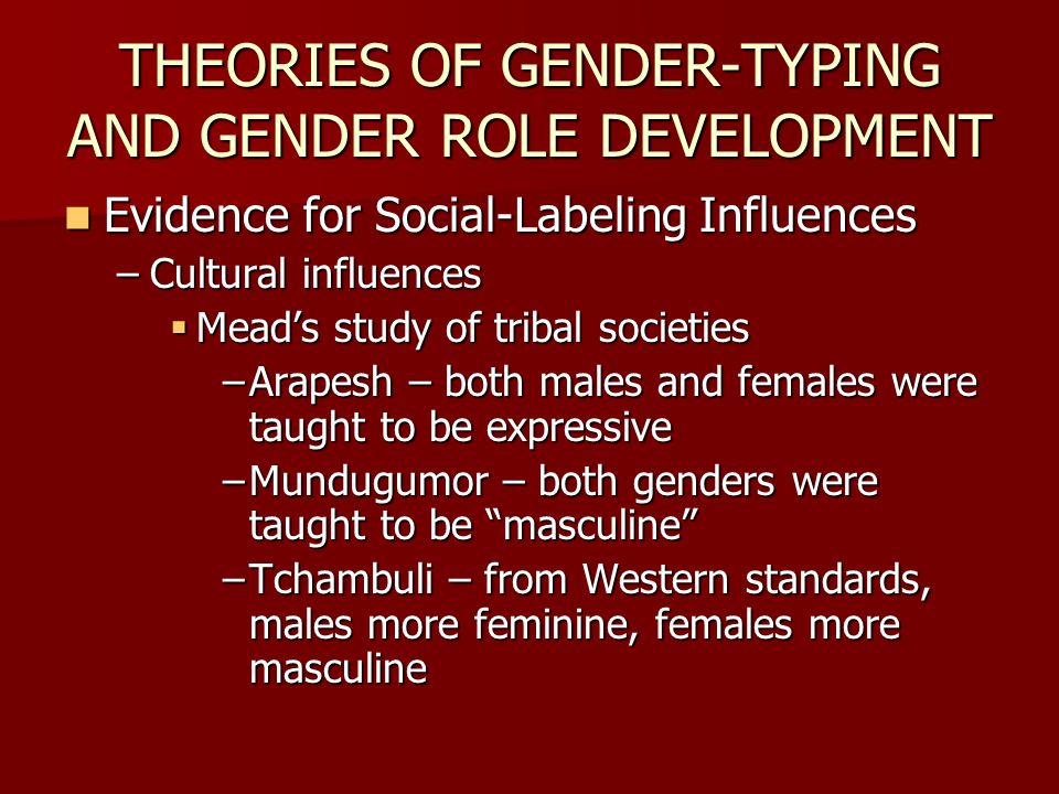 Understanding Gender